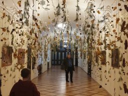 Pielgrzymka do Książa, Wałbrzycha i Wrocławia, 10.12.2022